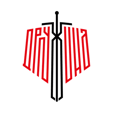 НАРОДНАЯ ДРУЖИНА